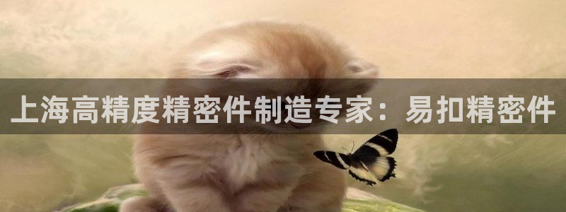 彩神v8是真的挣钱吗知乎：上海高精度精密件制造专家：易扣精密件