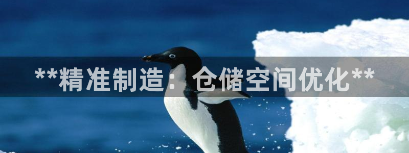 彩神8彩平台官网：**精准制造：仓储空间优化**