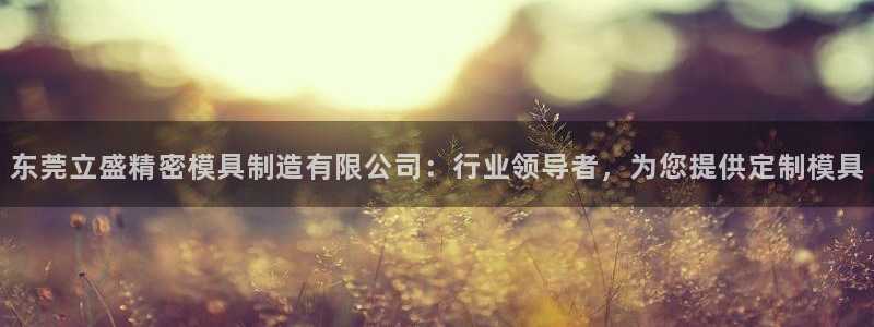 彩神赢的钱是哪里来的啊：东莞立盛精密模具制造有限公司：行业领导者，为您提供定制模具