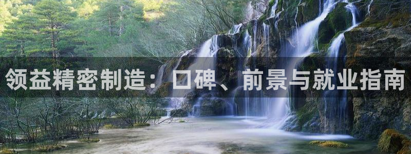 彩神vll首页：领益精密制造：口碑、前景与就业指南