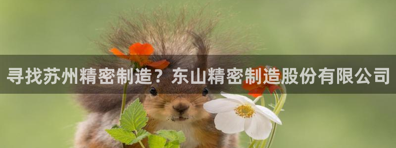 彩神v天天：寻找苏州精密制造？东山精密制造股份有限公司