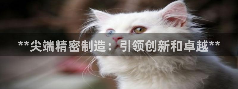 大发彩神官网下载：**尖端精密制造：引领创新和卓越**