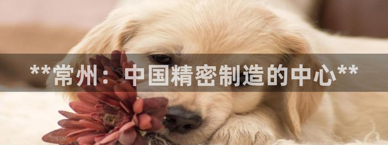 彩神网能赚钱是怎么回事：**常州：中国精密制造的中心**