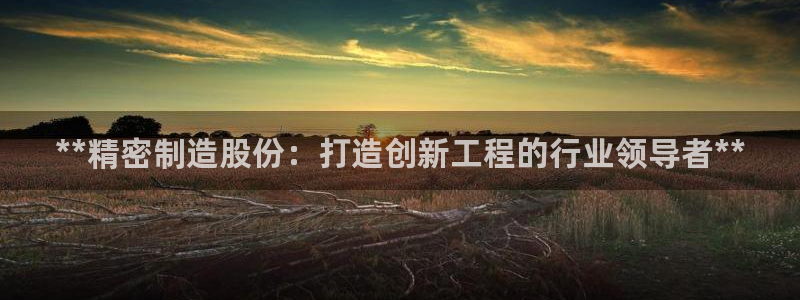 彩神可以提现吗：**精密制造股份：打造创新工程的行业领导者**