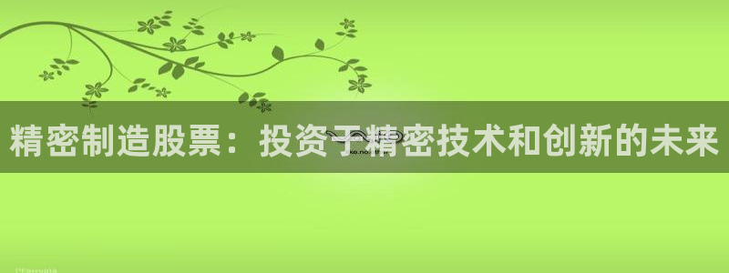 彩神ⅴll用户登录：精密制造股票：投资于精密技术和创新的未来