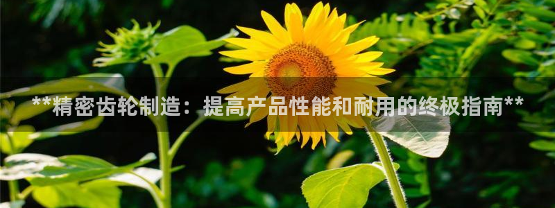彩神vii购彩l心：**精密齿轮制造：提高产品性能和耐用的终极指南**
