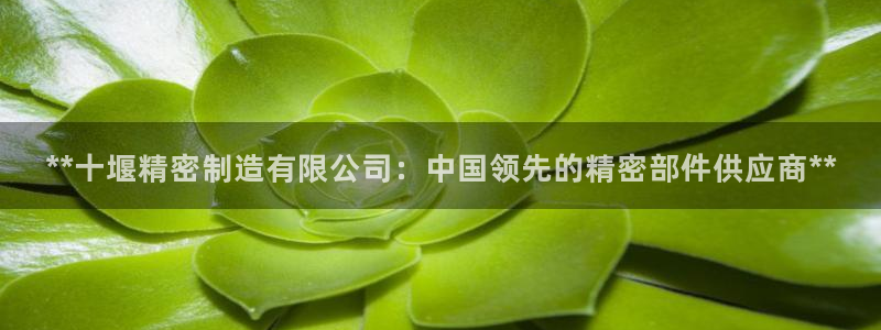 下载彩神乐发V1：**十堰精密制造有限公司：中国领先的精密部件供应商**