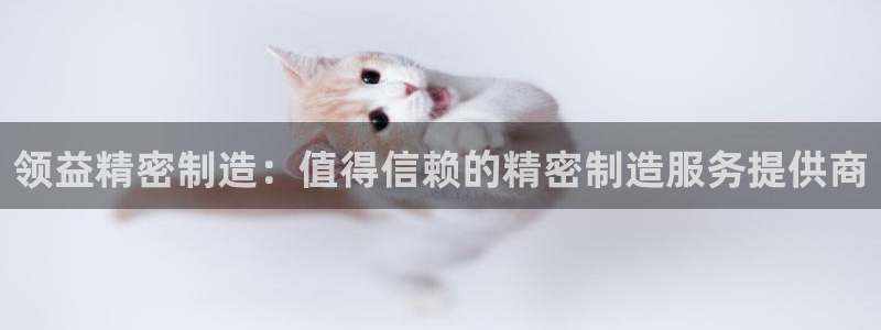 彩神大发cp：领益精密制造：值得信赖的精密制造服务提供商