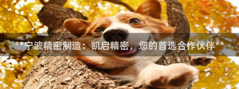 彩神用户登录