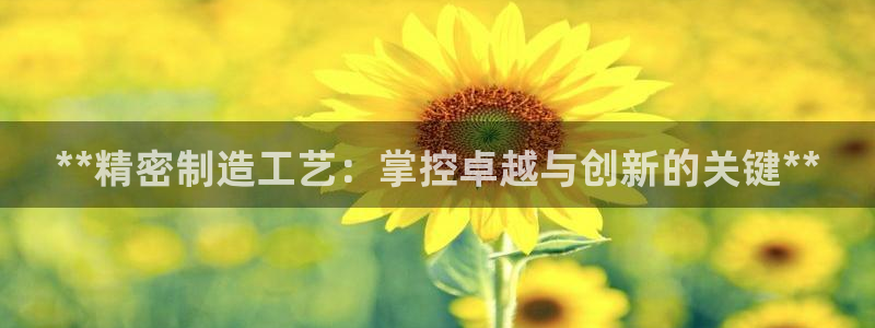 彩神v8app：**精密制造工艺：掌控卓越与创新的关键**
