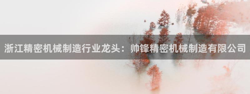 彩神可以提现吗：浙江精密机械制造行业龙头：帅锋精密机械制造有限公司
