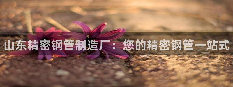 彩神vll购彩大厅大众