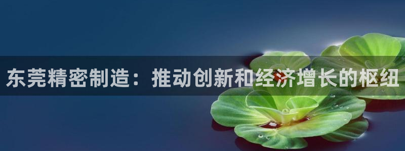 新版彩神v8登录不上去