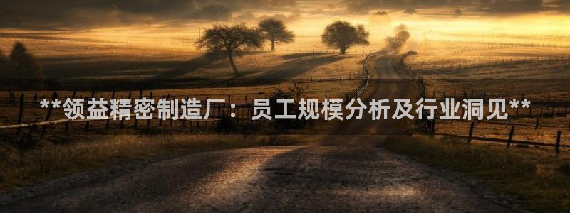 彩神v争霸有限公司：**领益精密制造厂：员工规模分析及行业洞见**