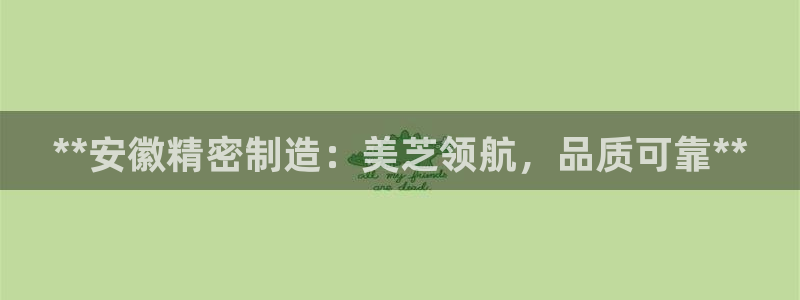 彩神v8iii：**安徽精密制造：美芝领航，品质可靠**