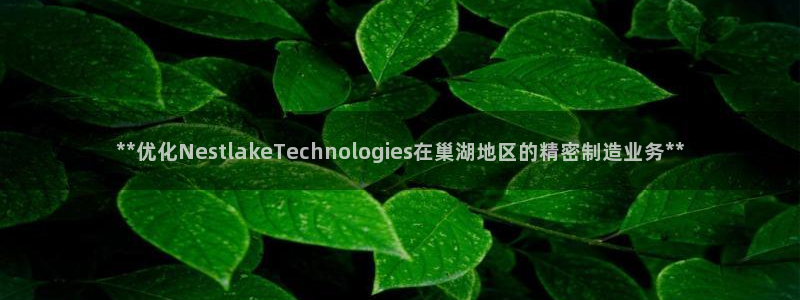 彩神8彩平台官网：**优化NestlakeTechnologies在巢湖地区的精密制造业务**