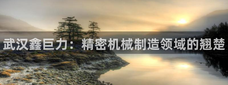 彩神8彩平台官网：武汉鑫巨力：精密机械制造领域的翘楚