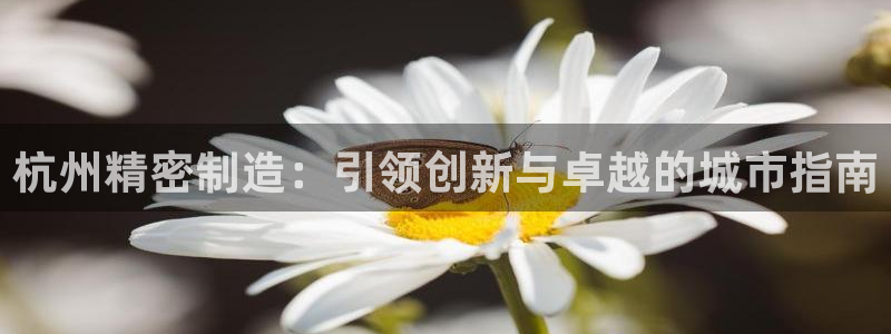 彩神赢的钱是哪里来的啊