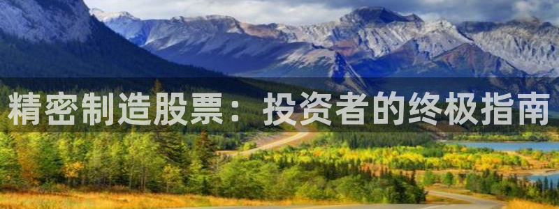 彩神官方网站登录是多少：精密制造股票：投资者的终极指南