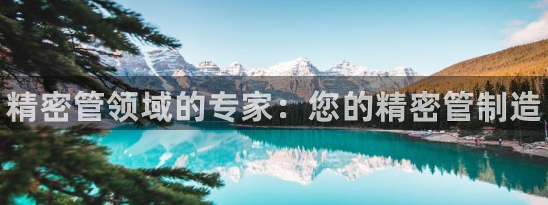 彩神v8下载：精密管领域的专家：您的精密管制造