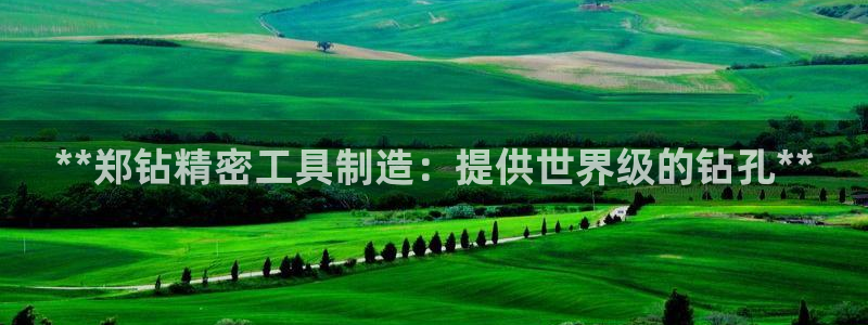 彩神购彩-购彩大厅入口：**郑钻精密工具制造：提供世界级的钻孔**