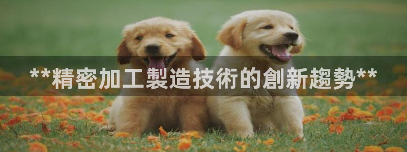 彩神ix可靠吗：**精密加工製造技術的創新趨勢**