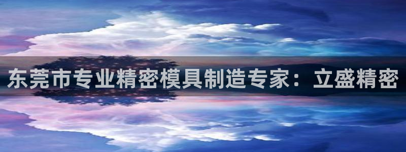 彩神Vll：东莞市专业精密模具制造专家：立盛精密