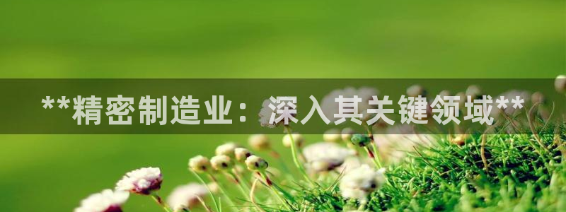 彩神团队是真的吗：**精密制造业：深入其关键领域**