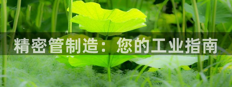 彩神是正规平台吗：精密管制造：您的工业指南