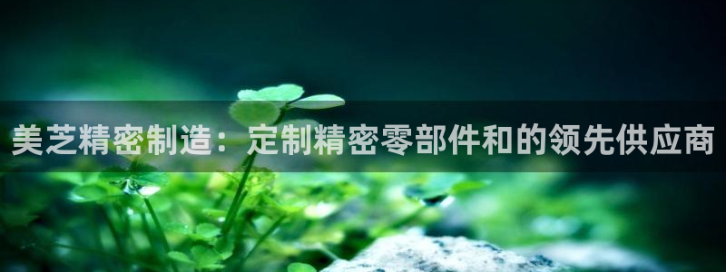 彩神争霸老平台：美芝精密制造：定制精密零部件和的领先供应商