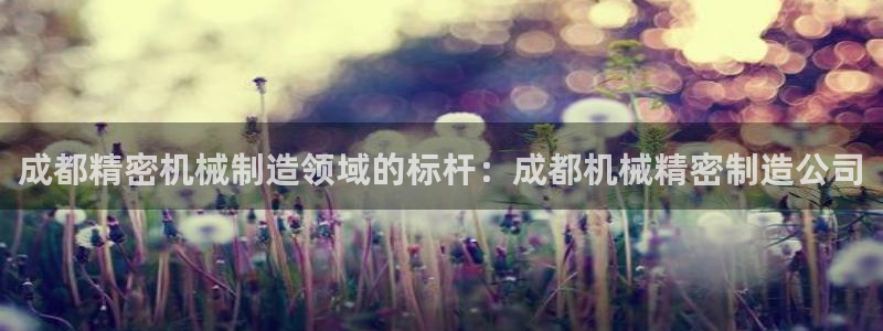 彩神 好 平台：成都精密机械制造领域的标杆：成都机械精密制造公司