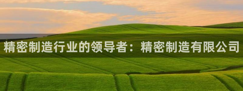 彩神v8app：精密制造行业的领导者：精密制造有限公司