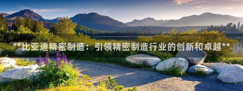 彩神平台能提现吗：**比亚迪精密制造：引领精密制造行业的创新和卓越**