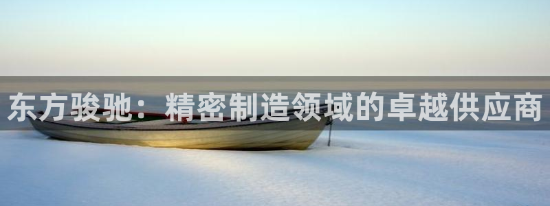 彩神赢钱了吗是真的吗：东方骏驰：精密制造领域的卓越供应商