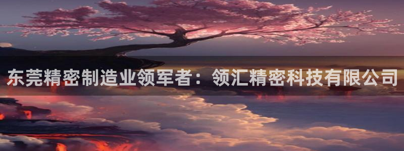 彩神ii官方网：东莞精密制造业领军者：领汇精密科技有限公司