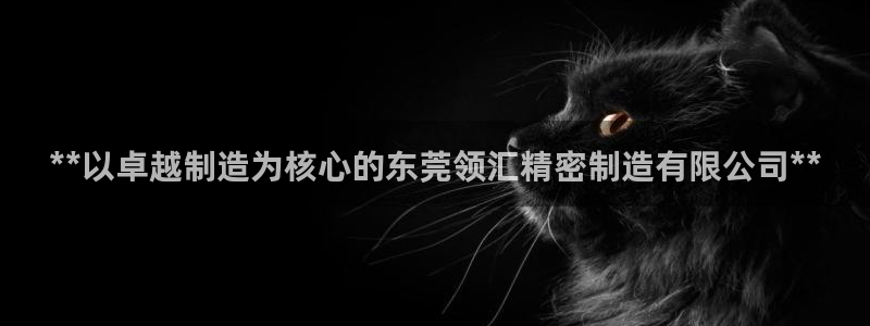 彩神v平台：**以卓越制造为核心的东莞领汇精密制造有限公司**