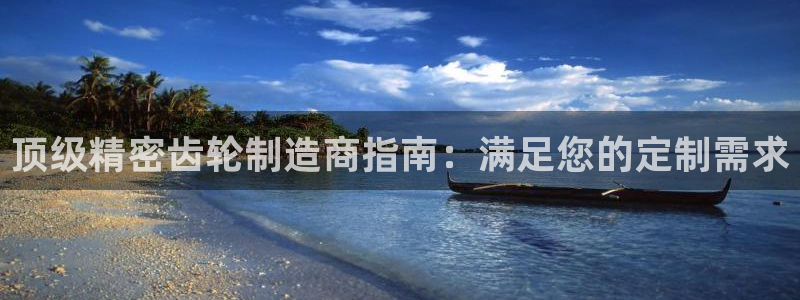 彩神vip购彩大厅在哪：顶级精密齿轮制造商指南：满足您的定制需求