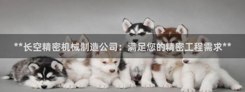 彩神vll购彩大厅：**长空精密机械制造公司：满足您的精密工程需求**