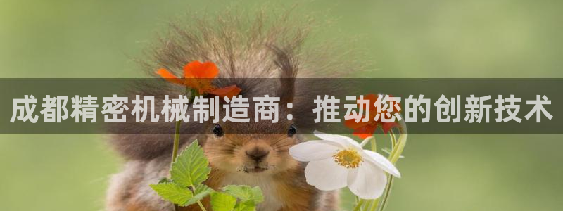 彩神8app官方下载：成都精密机械制造商：推动您的创新技术