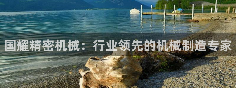 彩神是怎样一个平台赚钱的：国耀精密机械：行业领先的机械制造专家