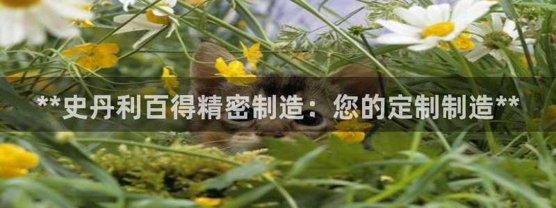 彩神vi官网版：**史丹利百得精密制造：您的定制制造**