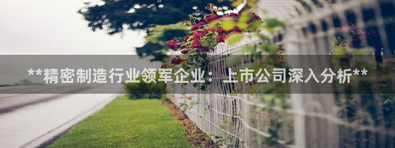 彩神网可以赚钱是真的吗：**精密制造行业领军企业：上市公司深入分析**