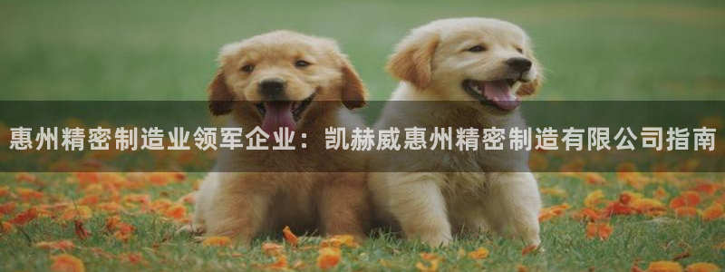 彩神网正规吗：惠州精密制造业领军企业：凯赫威惠州精密制造有限公司指南