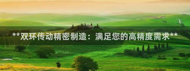 彩神购彩-购彩大厅入口500：**双环传动精密制造：满足您的高精度需求**