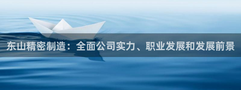 彩神系列平台：东山精密制造：全面公司实力、职业发展和发展前景