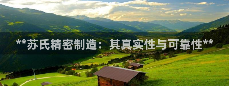彩神v8下载网址：**苏氏精密制造：其真实性与可靠性**