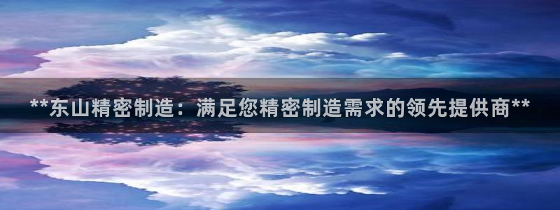 彩神v8是真的挣钱吗知乎：**东山精密制造：满足您精密制造需求的领先提供商**