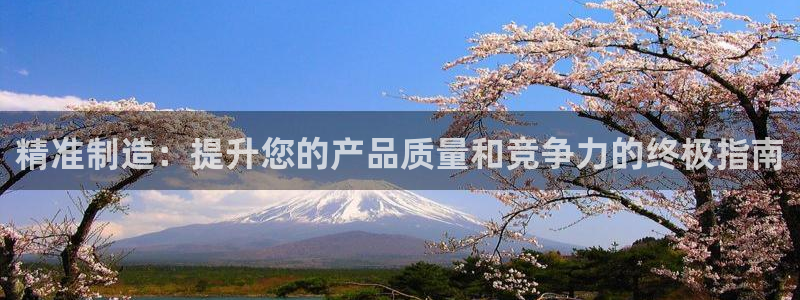 彩神vip购彩大厅在哪：精准制造：提升您的产品质量和竞争力的终极指南