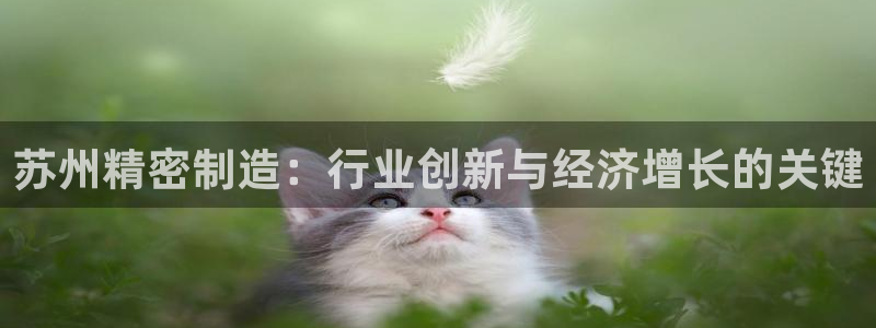 彩神v8下载