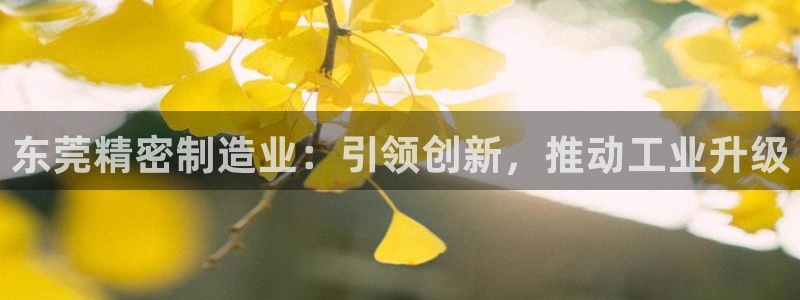 彩神购彩-购彩大厅入口下载：东莞精密制造业：引领创新，推动工业升级